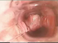 Guy the fret nem tudom, hogyan kell találkozni vele, mielőtt nagyon boldog volt, hogy látogassa meg a stúdióban egy szőke lány fiatal. Meggyőződve arról, hogy csak egy fotót most kell simítani ki egy bizonyos összeget. Megragadta a kamerát, az ablakhoz vitte, és elkezdett mozogni, miközben ő maga rögzítette a legerotikusabb pillanatokat. Megkért, hogy vetkőzzem le a bugyiját, de kategorikusan megtagadta, hogy újra megtegye. Aztán úgy döntött, hogy használja az erőszak, ölelés hátulról a kanapén, gyorsan köt
